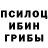 Псилоцибиновые грибы Cubensis Ne_RaK