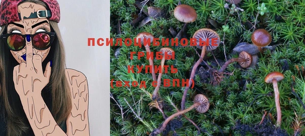 apvp Балахна